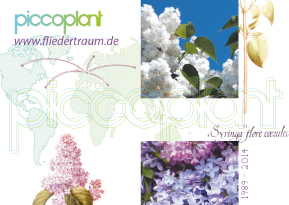Picco Plant Postkarte